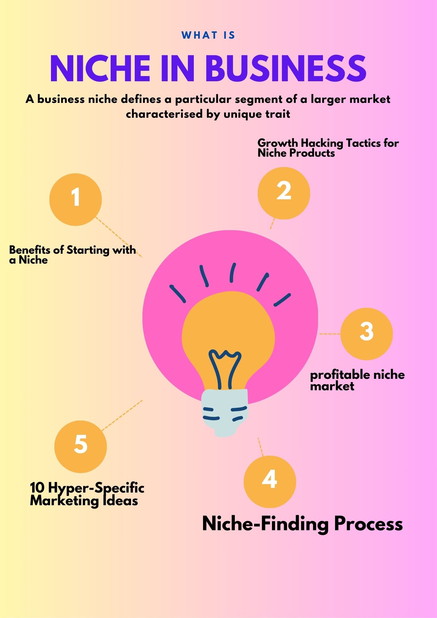 What is a niche in Business (Strategy, Audience, Price, Demographics, level of quality, psychographics, Geographics, Potential )